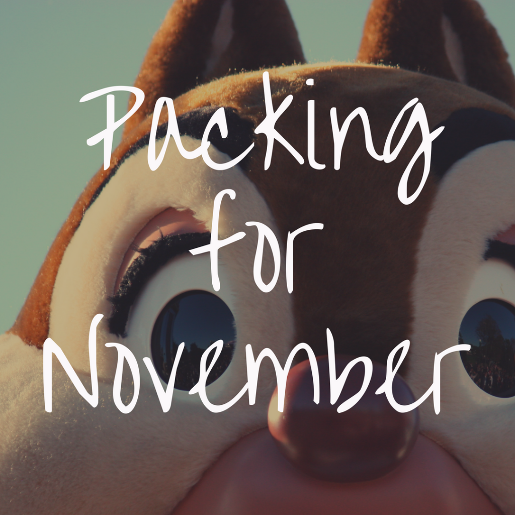 Do You Know What to Pack for Disney World in November?