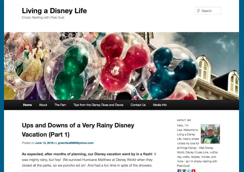 The 38 Best Disney World Blogs You Need in Your Life Countdown to Magic