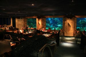 Coral Reef Restaurant review