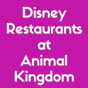 Learn about the Best Disney World restaurants at Animal Kingdom