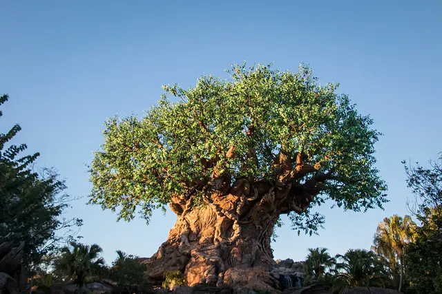 Discover the 10 Most Popular FastPasses at Animal Kingdom