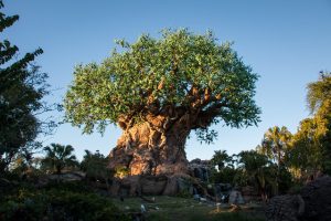 Disney World FastPass+: Rules, Tiers, Secrets and Strategy