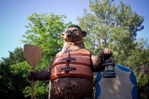 Grizzly River Run review