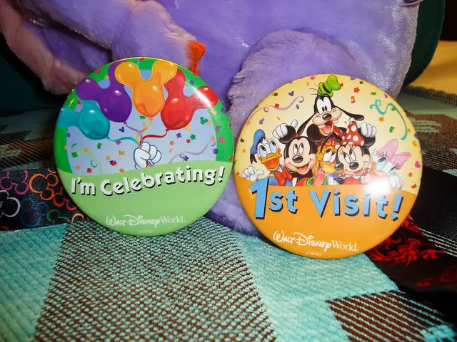Discover some of the best Disney World pins you can buy!