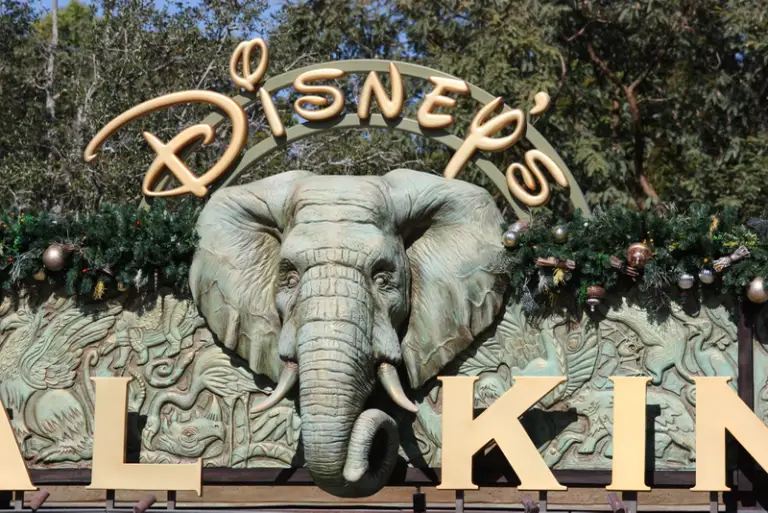 Disney World Tips and Tricks for Animal Kingdom