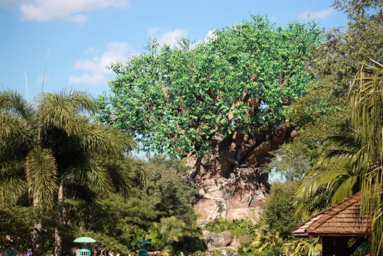 The 7 Best Fast Passes for Animal Kingdom to Reserve in Advance