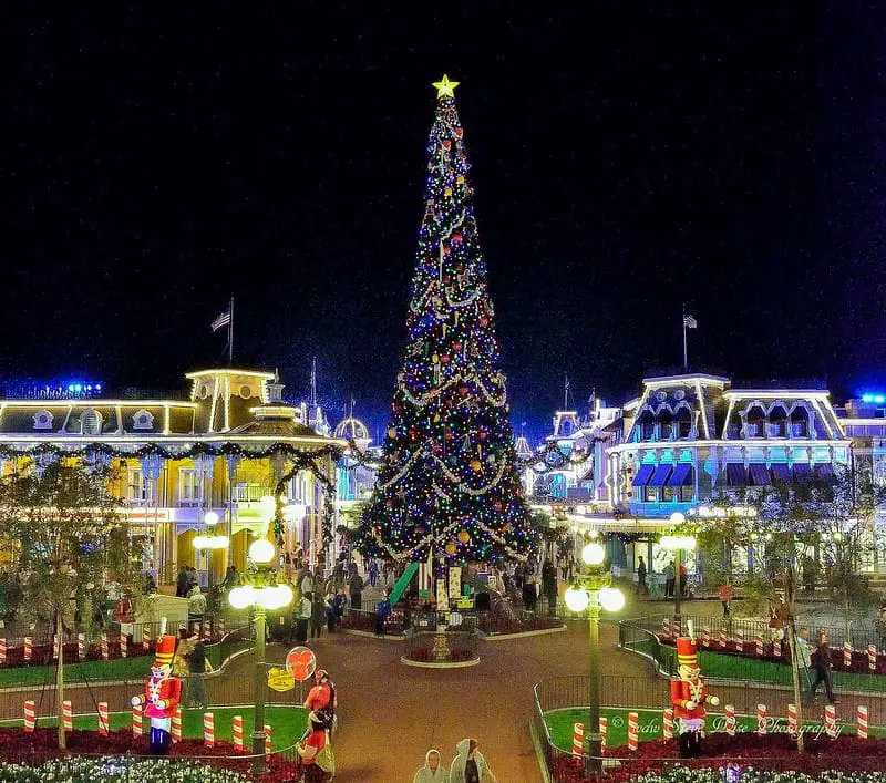 What to Bring to Disney World in December