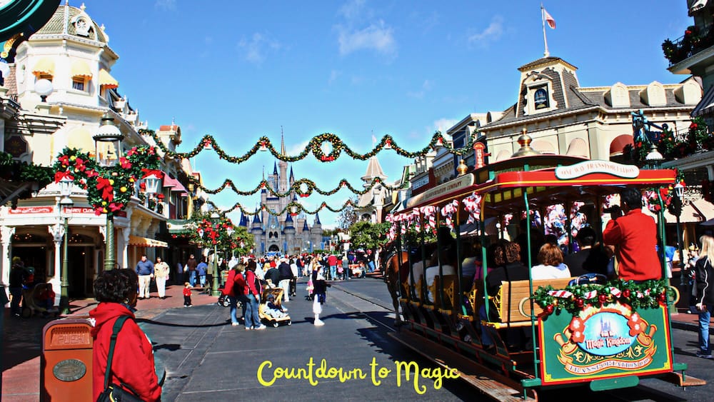 You're probably better off skipping the Christmas party at the Magic Kingdom!