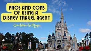 Pros and Cons of Using a Disney World Travel Agent