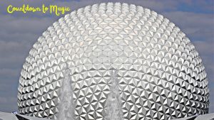 Epcot vs Animal Kingdom – Best Park for All Ages?