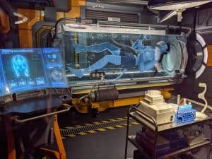 Is Avatar Flight of Passage Scary? – Height, Speed & Drops