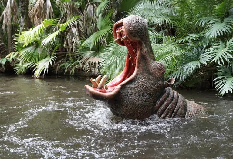 Is Disney’s Jungle Cruise Scary? Assessing the Scare Factor