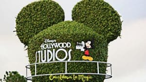 Epcot vs Hollywood Studios – Best Park to Visit?