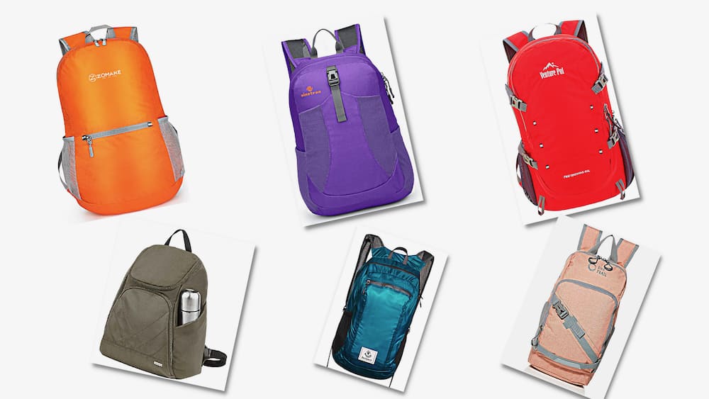 Discover Some of the Best Backpacks for Disneyland.