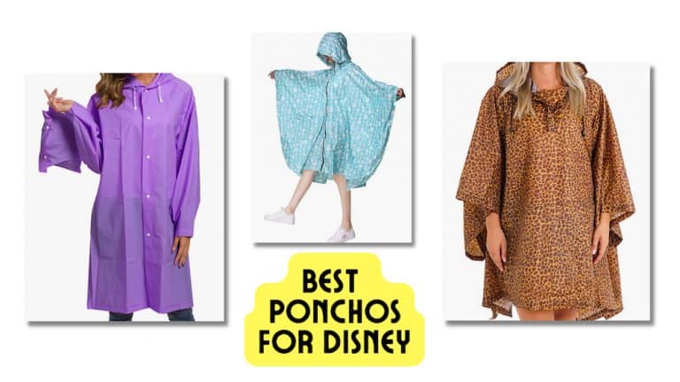 10 Best Ponchos for Disney World That Are Awesome