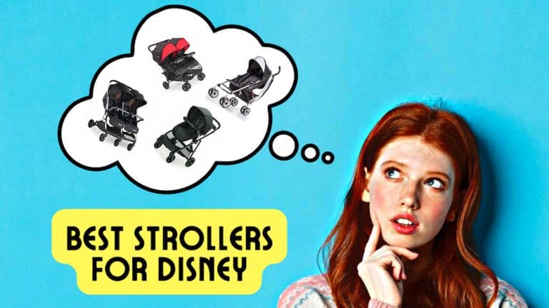 15 Best Strollers for Disney World That Are Amazing
