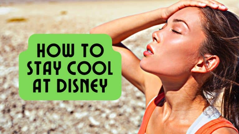 How to Stay Cool at Disney World – Summer Tips You’ll Love