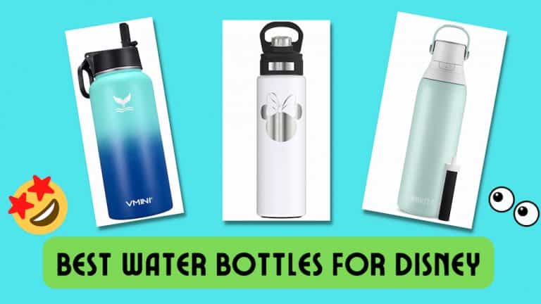 15 Best Water Bottles for Disney World to Stay HYDRATED!
