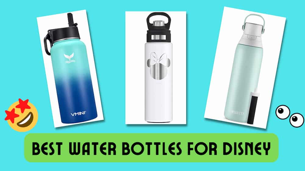 Please Enjoy My Top Picks for the Best Water Bottles for Disney World!