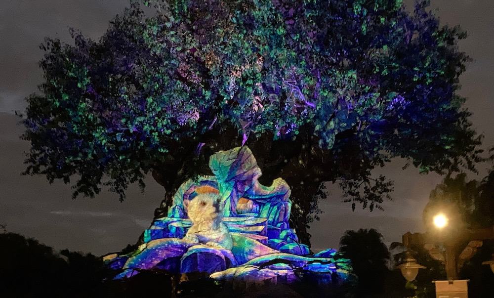 “Awakenings” projection show on the Tree of Life.