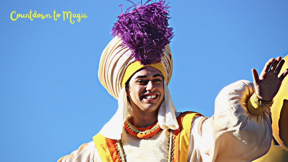 Aladdin is a Magic Kingdom Character you can meet and greet!