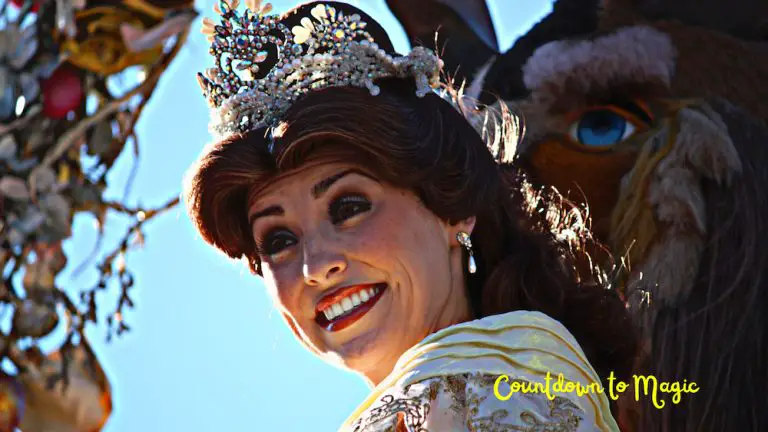 17 Best Magic Kingdom Characters (For Meet and Greets)