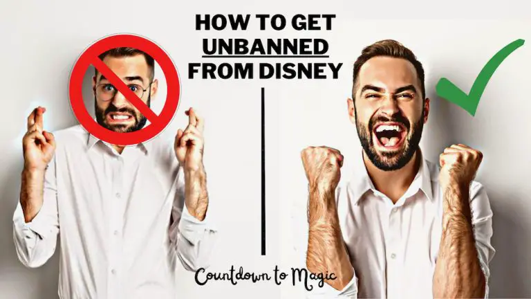 How to Get Unbanned from Disney World