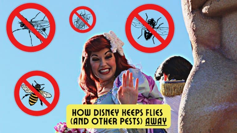 How Disneyland Keeps Flies Away – The Shocking Repellant