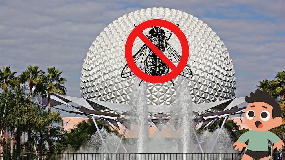 How Disney Keeps Flies Away?  Find Out Today!