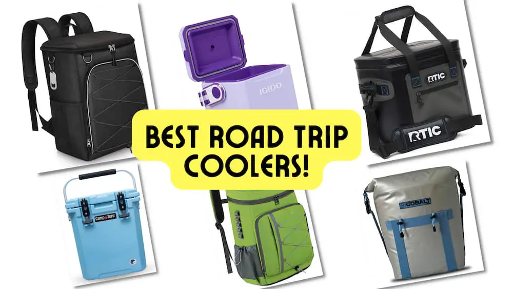 Here Are the Best Road Trip Coolers!