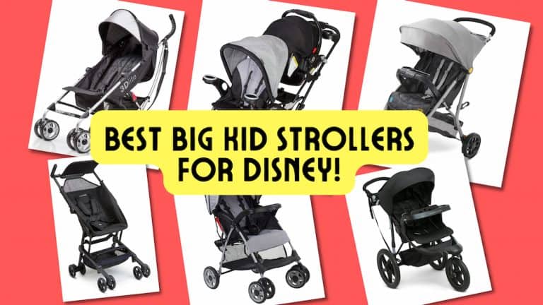 15 Best Big Kid Strollers for Disney You’ll Love