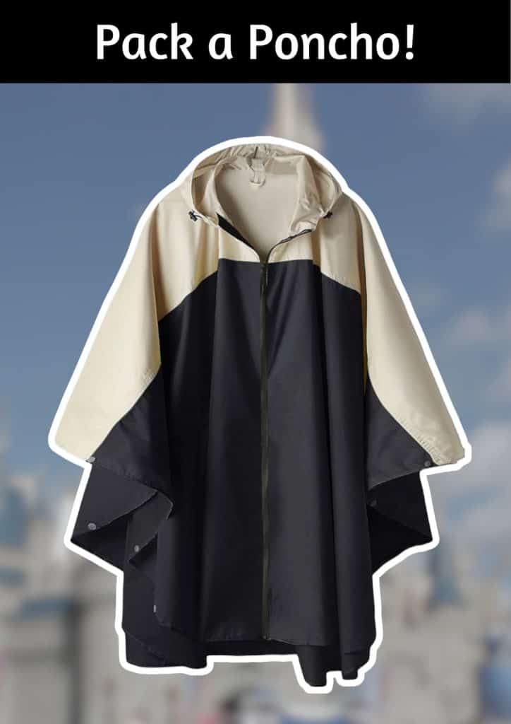 Remember to pack a poncho for Disney World in January!