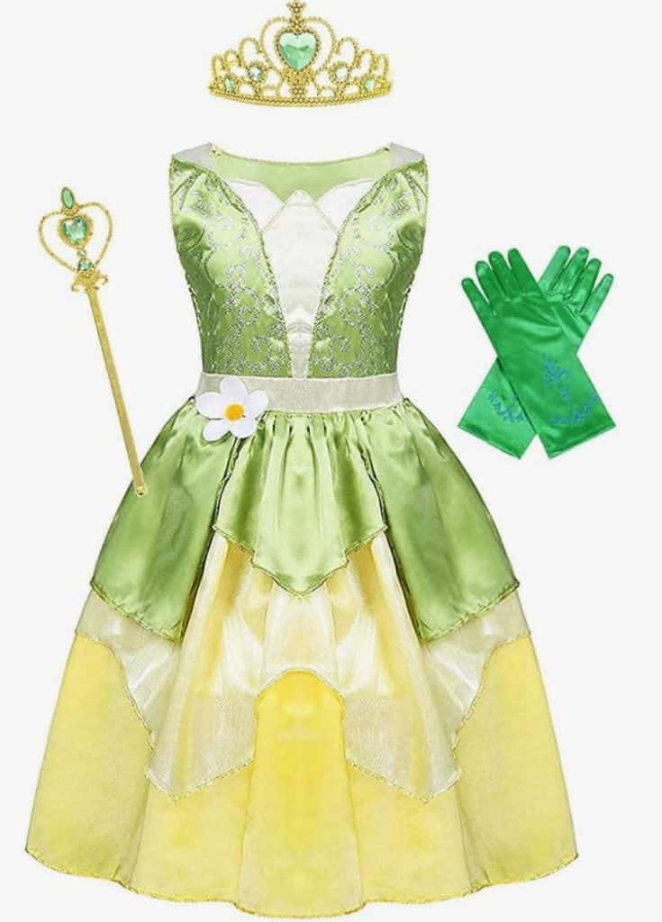 Princess Tiana costume