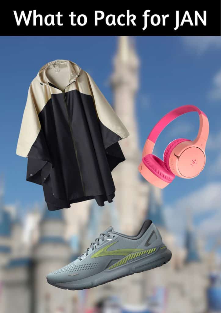 What are the essential items to pack for Disney World in January?  Find out today!