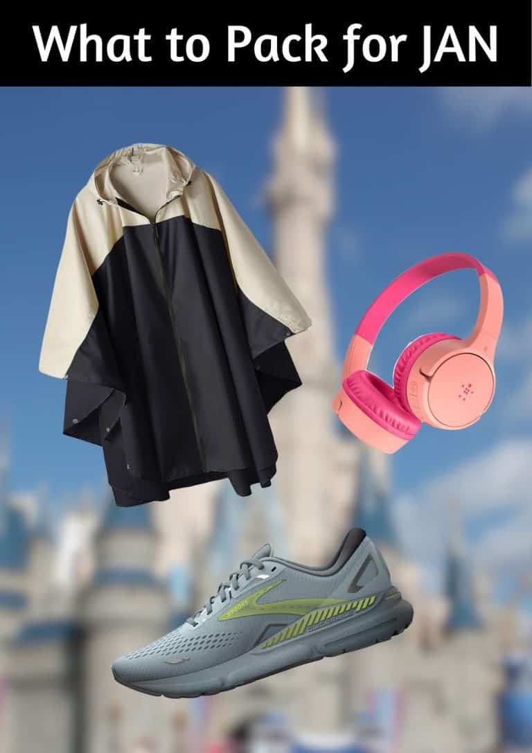 What to Pack for Disney World in January (Checklist)